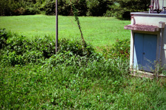 体温プラス10度C (14)