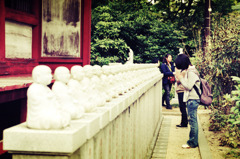 後頭部など (19)