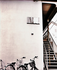 写シンの由来 (07)