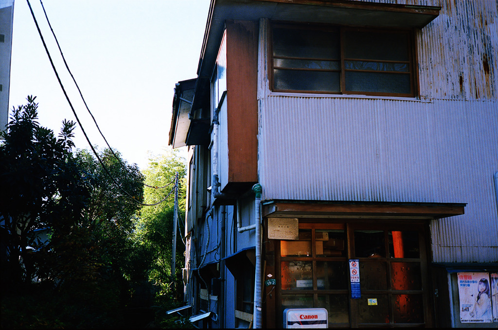12月11日 (11)