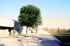 スナッピンフィールド (06)