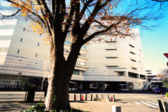 スナッピンフィールド (15)