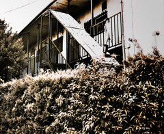 写シンの由来 (11)