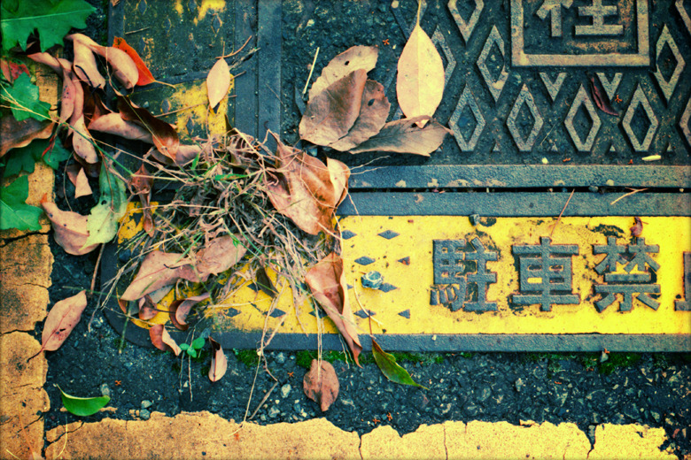 『 leaf 』(17)