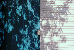 体温プラス10度C (13)