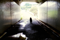 冷えた面・暖かな中心 (05)