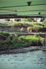 プール通学路 (17)