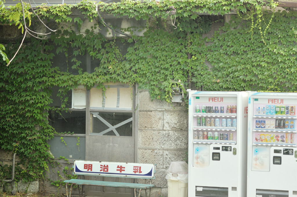 teri-tori (09)