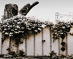 写シンの由来 (13)