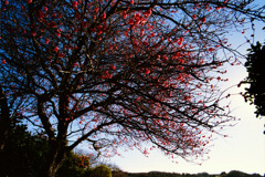 1月10日 (08) 1月10日 (08)