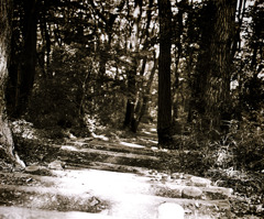 写シンの由来 (15)