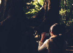 後頭部など (13)