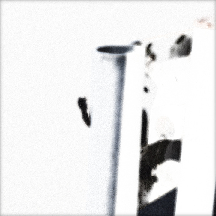 WHITE NOISE (20)