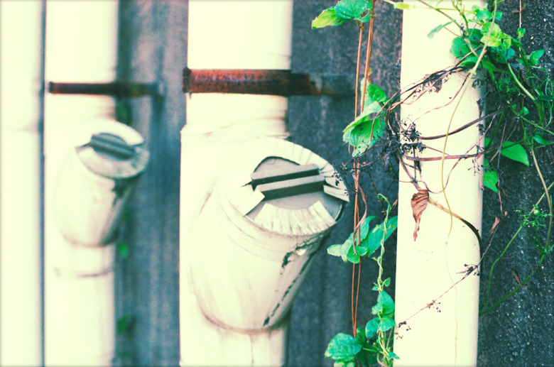 『 leaf 』(07)