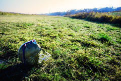 スナッピンフィールド (08)