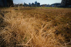 2月13日 (19)