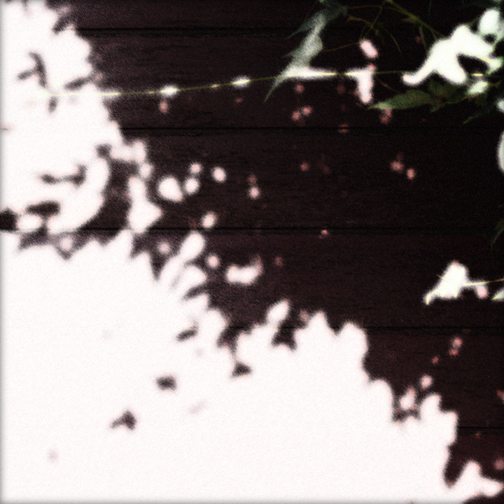 WHITE NOISE (13)