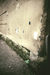 Lomography workshop (19)