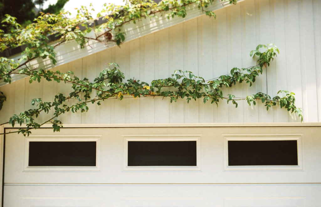 garage + sunshine