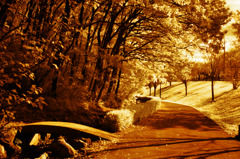 GARDEN INFRARED (10)