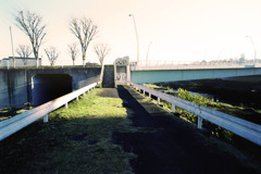 スナッピンフィールド (17)