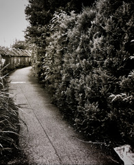 写シンの由来 (09)