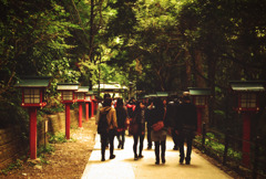 後頭部など (20)