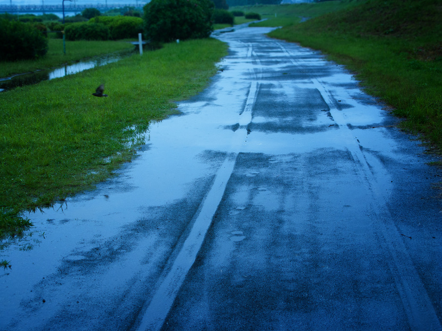 rainy. flow.