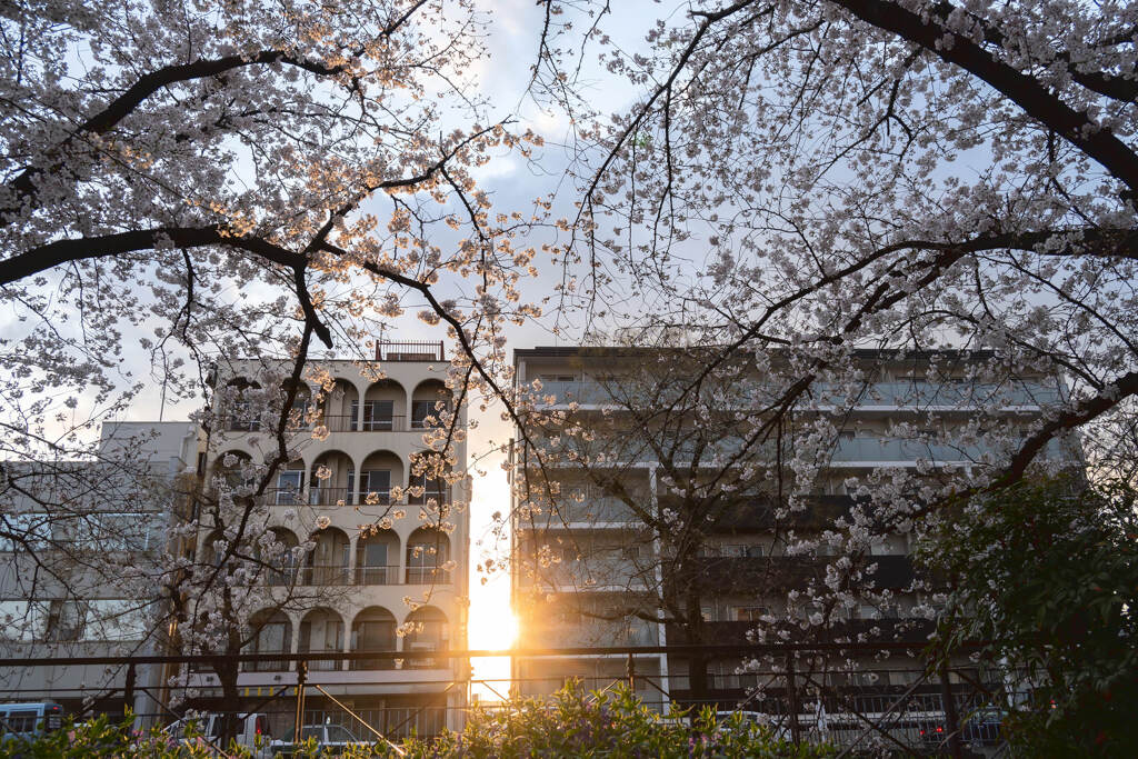 谷間の夕日