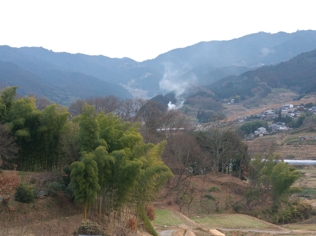 明日香路の春田