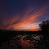 藤原宮跡・蓮田の夕景