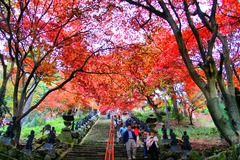 大山寺、散歩。 - Photomatix in use.