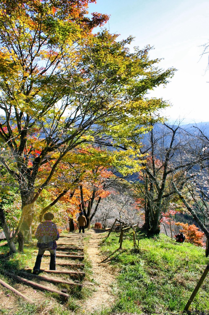 桜山公園、散歩。 - Photomatix in use.