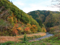 せせらぎ街道２