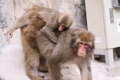 何があっても離すものか！