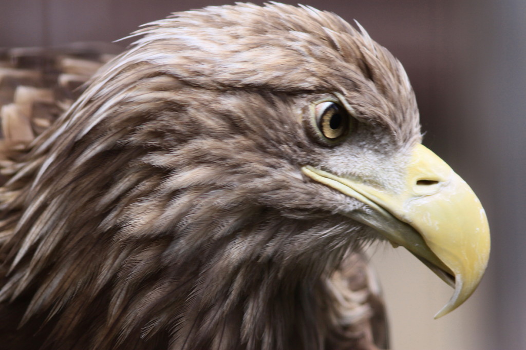 今日もバッチリ決まった(^_-)