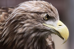 今日もバッチリ決まった(^_-)