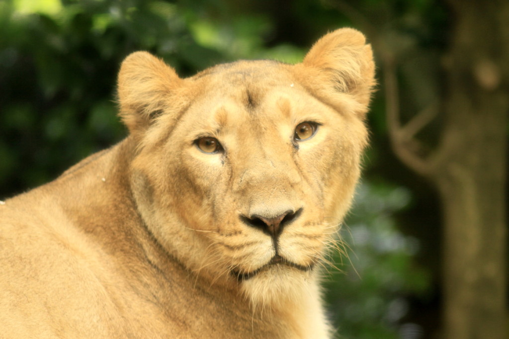 見つめられちゃった～♡