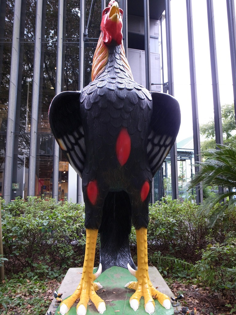 cock-a-doodle-doo(front)