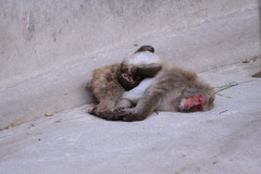 暇～遊んで～？