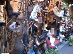 どの靴にする？＼(◎o◎)／！