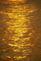 黄金の波紋
