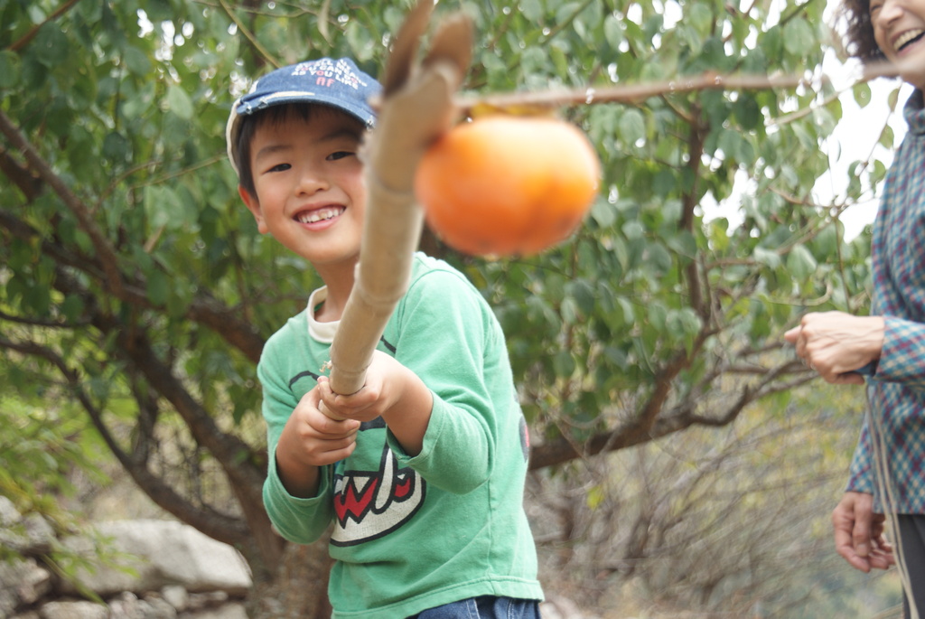 柿とーったどー！！