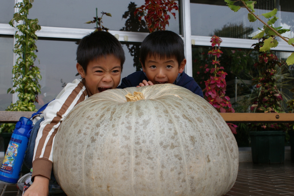 ハロウィンを食べろ