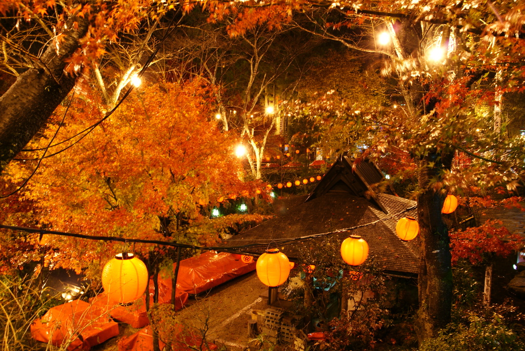 雨上がりの山賊にて