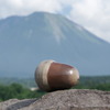 どんぐり大山バック