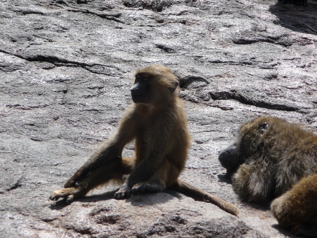 ポカポカうとうと