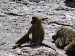 ポカポカうとうと