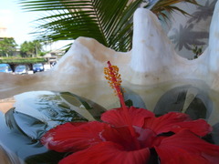 R0010456