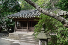 P1010699